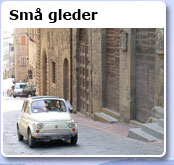 Små gleder